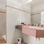 Paradis فيلة لي إيسامبر